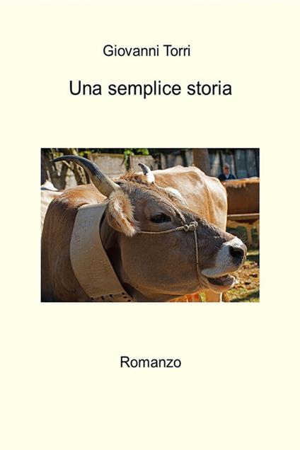 Una semplice storia - Giovanni Torri - ebook