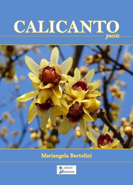Calicanto - Mariangela Bertolini - ebook