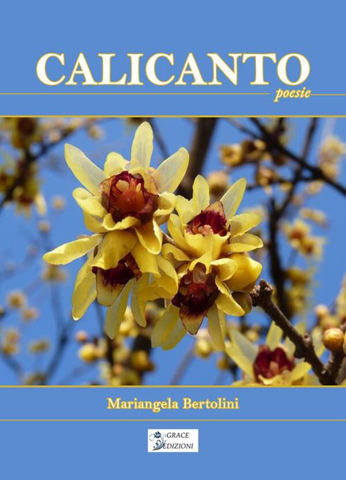 Calicanto - Mariangela Bertolini - ebook
