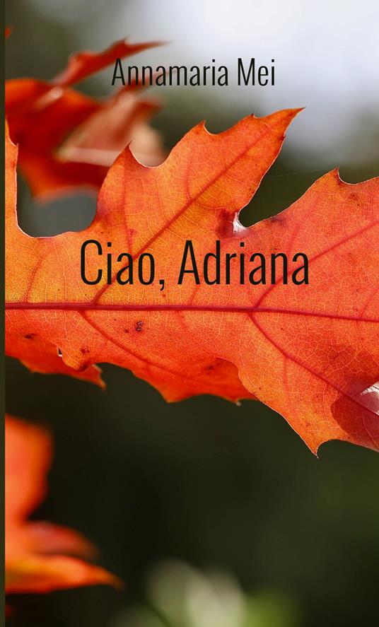 Ciao, Adriana - Annamaria Mei - copertina