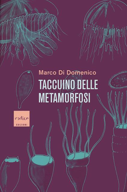 Taccuino delle metamorfosi - Marco Di Domenico - copertina