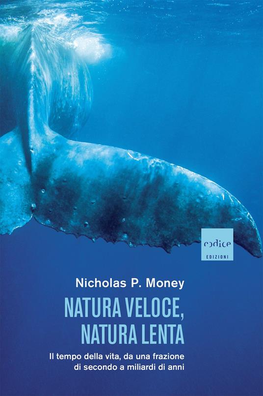 Natura veloce, natura lenta. Il tempo della vita, da una frazione di secondo a miliardi di anni - Nicholas P. Money - copertina
