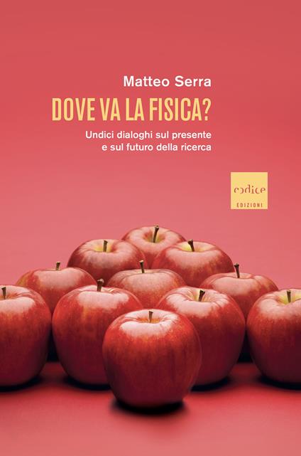 Dove va la fisica? Undici dialoghi sul presente e sul futuro della ricerca - Matteo Serra - ebook