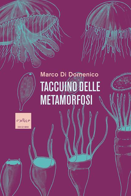 Taccuino delle metamorfosi - Marco Di Domenico - ebook