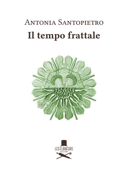 Il tempo frattale - Antonia Santopietro - copertina
