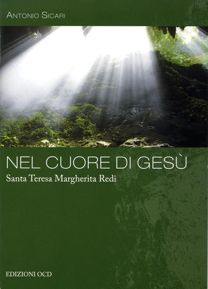 Nel cuore di Gesù. Santa Teresa Margherita Redi - Antonio Maria Sicari - ebook