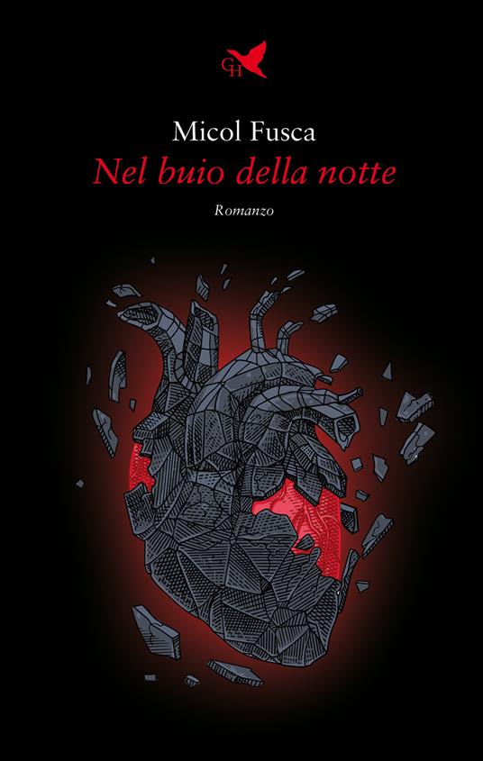 Nel buio della notte - Micol Fusca - copertina