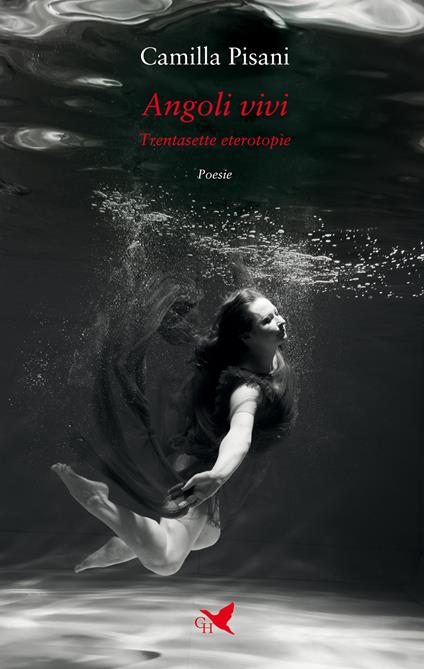 Angoli vivi. Trentasette eterotopìe - Camilla Pisani - copertina
