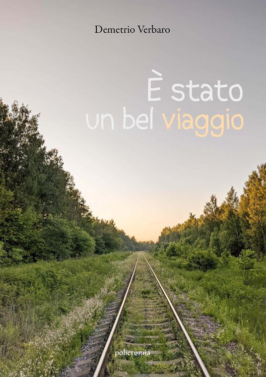 È stato un bel viaggio - Demetrio Verbaro - copertina