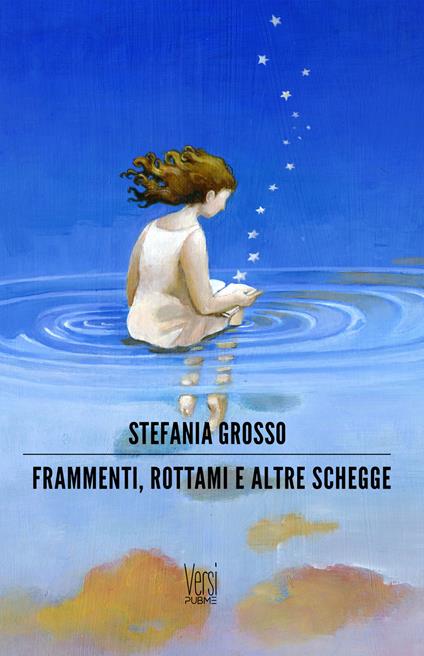 Frammenti, rottami e altre schegge - Stefania Grosso - copertina