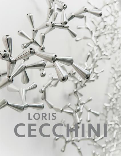 Loris Cecchini. Ediz. francese e inglese - Ilaria Bernardi - copertina