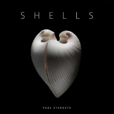 Shells - Paolo Portoghesi - cover