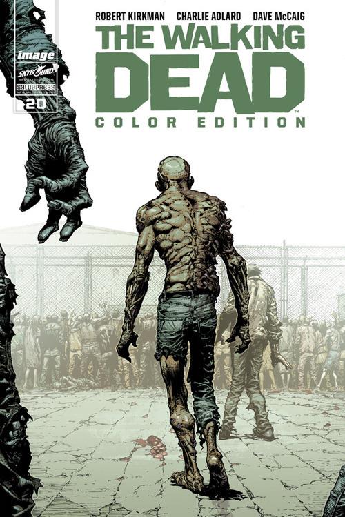 The Walking Dead. Color Edition. Vol. 20 - Robert Kirkman,Charlie Adlard,Dave McCaig,Stefano Menchetti - ebook