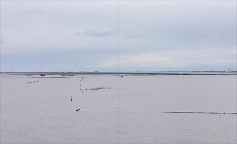 Caring for the environment. Venice and its lagoon. Ediz. illustrata - Giovanni Montanaro,Fulvio Orsenigo - 3