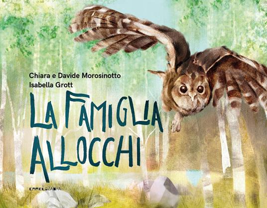 La famiglia allocchi. Ediz. a colori - Chiara Morosinotto,Davide Morosinotto - copertina