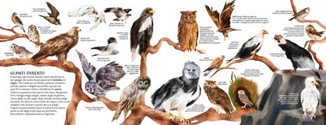 La famiglia allocchi. Ediz. a colori - Chiara Morosinotto,Davide Morosinotto - 3