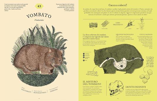 Digestario. Ediz. a colori - Aina Bestard - 3