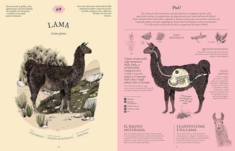 Digestario. Ediz. a colori - Aina Bestard - 4