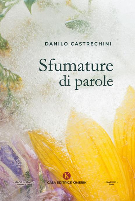 Sfumature di parole - Danilo Castrechini - copertina