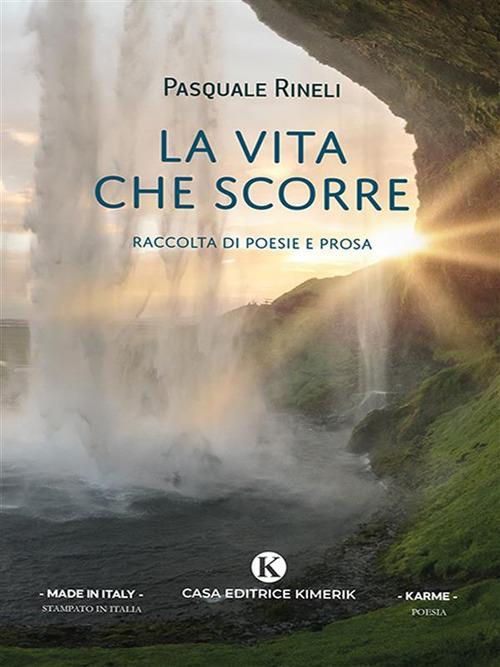 La vita che scorre - Pasquale Rineli - ebook
