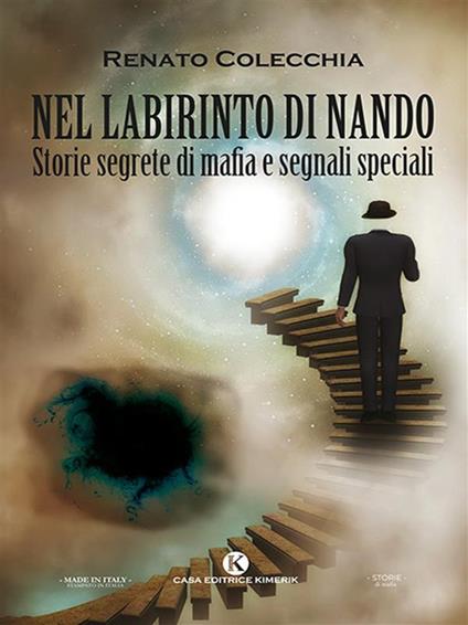 Nel labirinto di Nando. Storie segrete di mafia e segnali speciali - Renato Colecchia - ebook