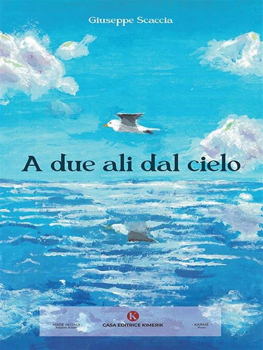 A due ali dal cielo - Giuseppe Scaccia - ebook