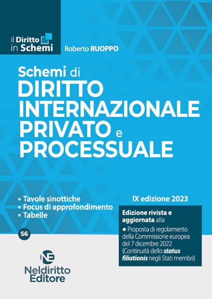 Schemi di diritto internazionale privato e processuale - copertina