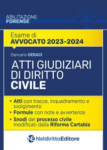 Atti giudiziari di diritto civile. Nuova ediz.