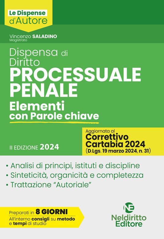 Dispensa di diritto processuale penale. Elementi con parole chiave. Nuova ediz. - Vincenzo Saladino - copertina