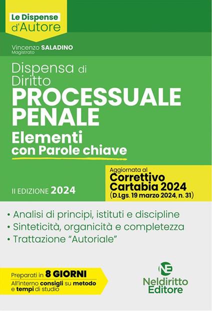 Dispensa di diritto processuale penale. Elementi con parole chiave - Vincenzo Saladino - ebook