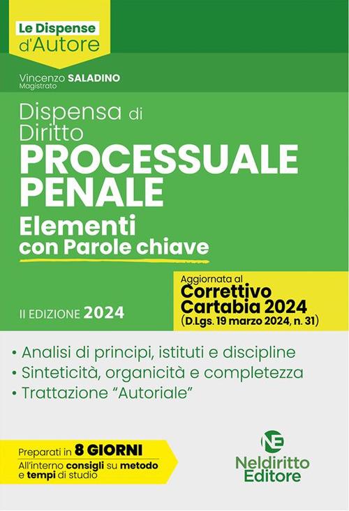 Dispensa di diritto processuale penale. Elementi con parole chiave - Vincenzo Saladino - ebook