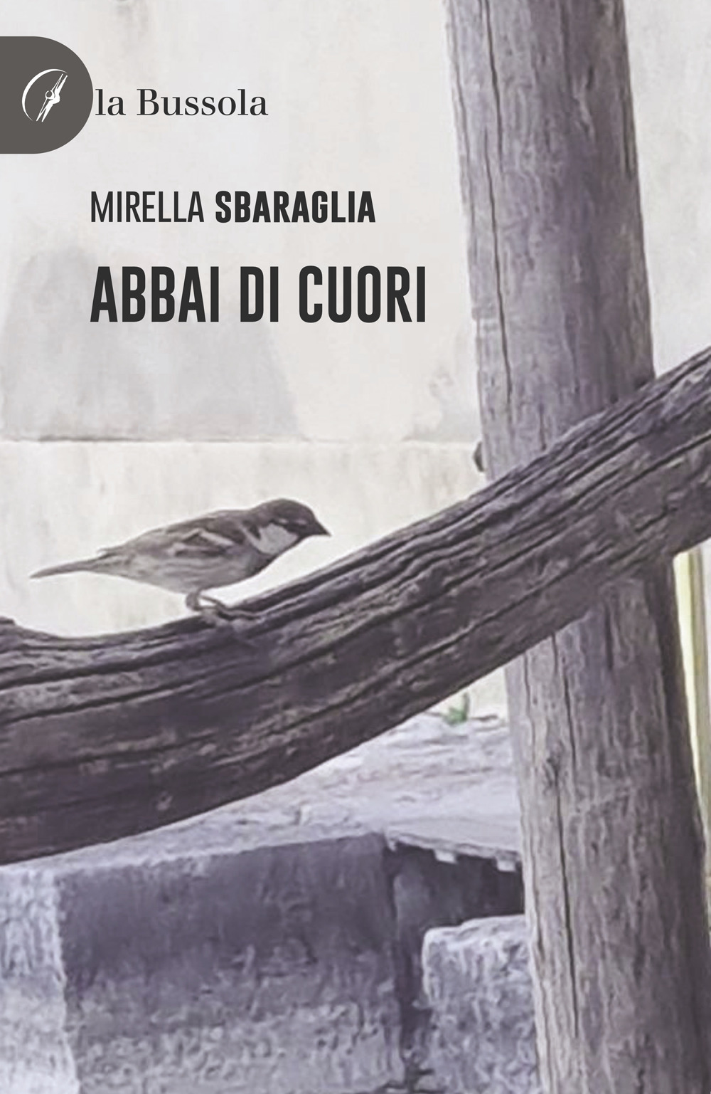 Nocilli distribuzione libri