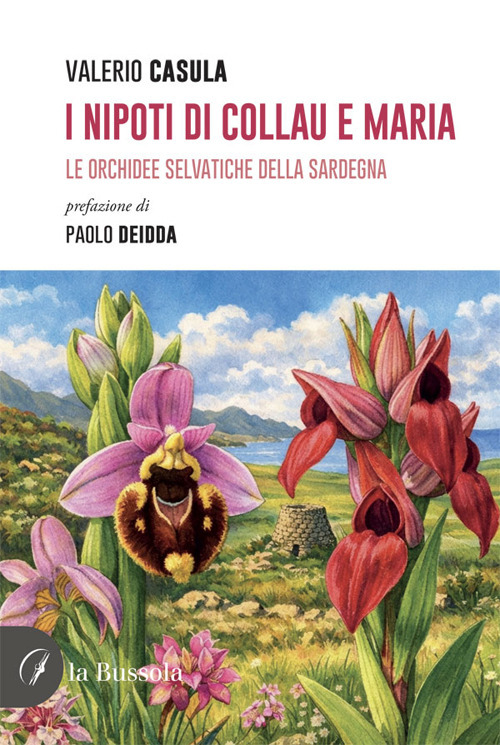 Nocilli distribuzione libri