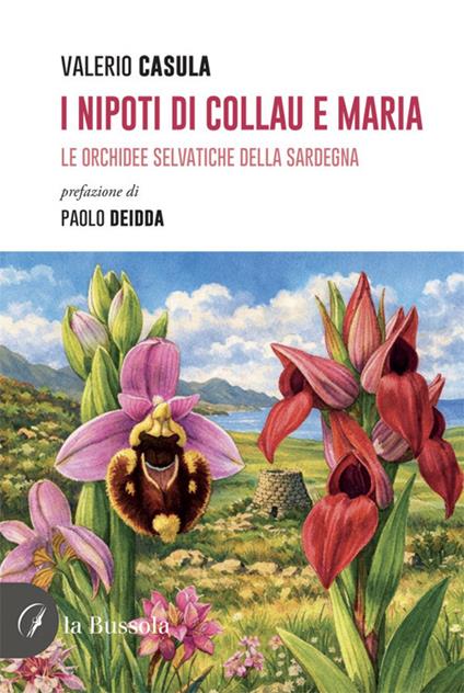 I nipoti di Collau e Maria. Le orchidee selvatiche della Sardegna - Valerio Casula - copertina