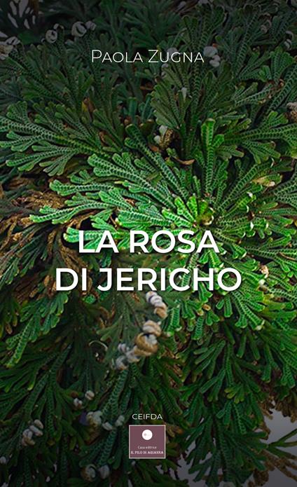 La rosa di Jericho - Paola Zugna - copertina