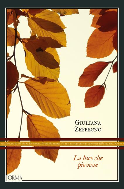 La luce che pioveva - Giuliana Zeppegno - ebook