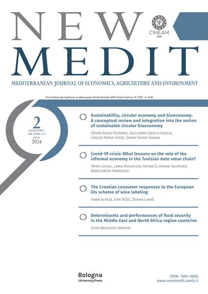 New Medit (2024). Ediz. multilingue. Vol. 2 - copertina