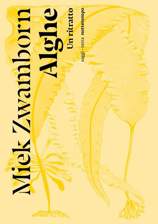 Alghe. Un ritratto - Miek Zwamborn,Stefano Musilli - ebook