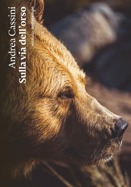 Sulla via dell'orso - Andrea Cassini - copertina
