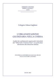L' organizzazione giudiziaria nella Chiesa. Analisi dei cambiamenti organizzativi introdotti dal «Mitis Iudex Dominus Iesus» con particolare riferimento alla situazione italiana