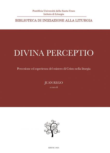Divina perceptio. Percezione ed esperienza del mistero di Cristo nella liturgia - Juan Rego - ebook
