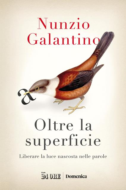 Oltre la superficie. Liberare la luce nascosta nelle parole - Nunzio Galantino - copertina