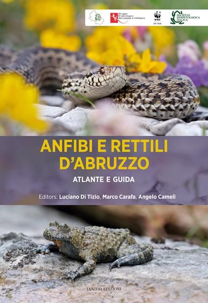 Anfibi e rettili d'Abruzzo. Atlante e guida - copertina