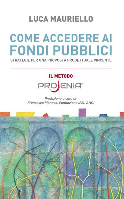 Come accedere ai fondi pubblici. Strategie per una proposta progettuale vincente - Luca Mauriello - ebook