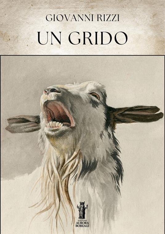 Un grido - Giovanni Rizzi - ebook