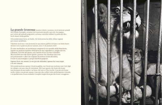 Il piccolo leone. Ediz. illustrata - Jacques Prévert - 3