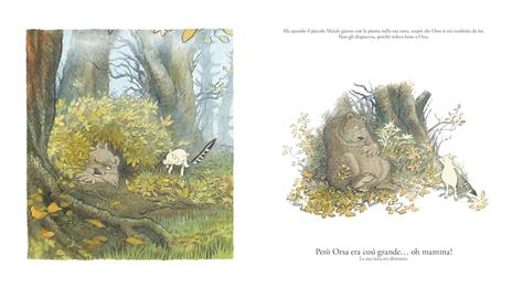 Una casa nel bosco. Ediz. a colori - Inga Moore - 4