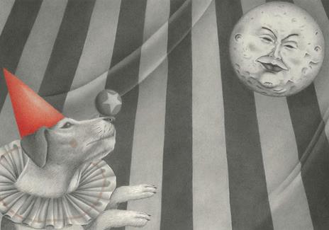 Il cane e la luna. Ediz. a colori - Alice Barberini - 5