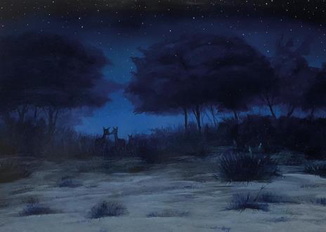 Cose del bosco - Chiara Lorenzoni - 5