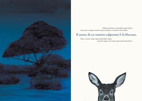 Cose del bosco - Chiara Lorenzoni - 6